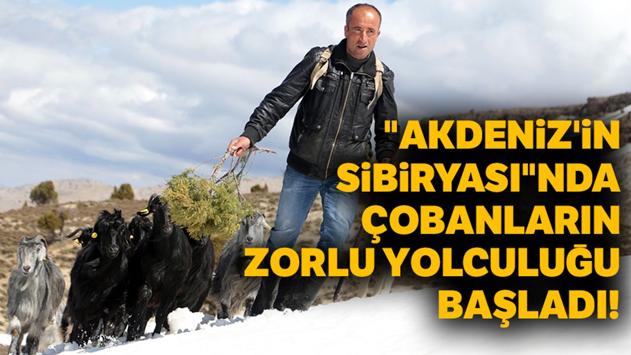 "Akdeniz’in Sibiryası"nda çobanların zorlu yolculuğu başladı!