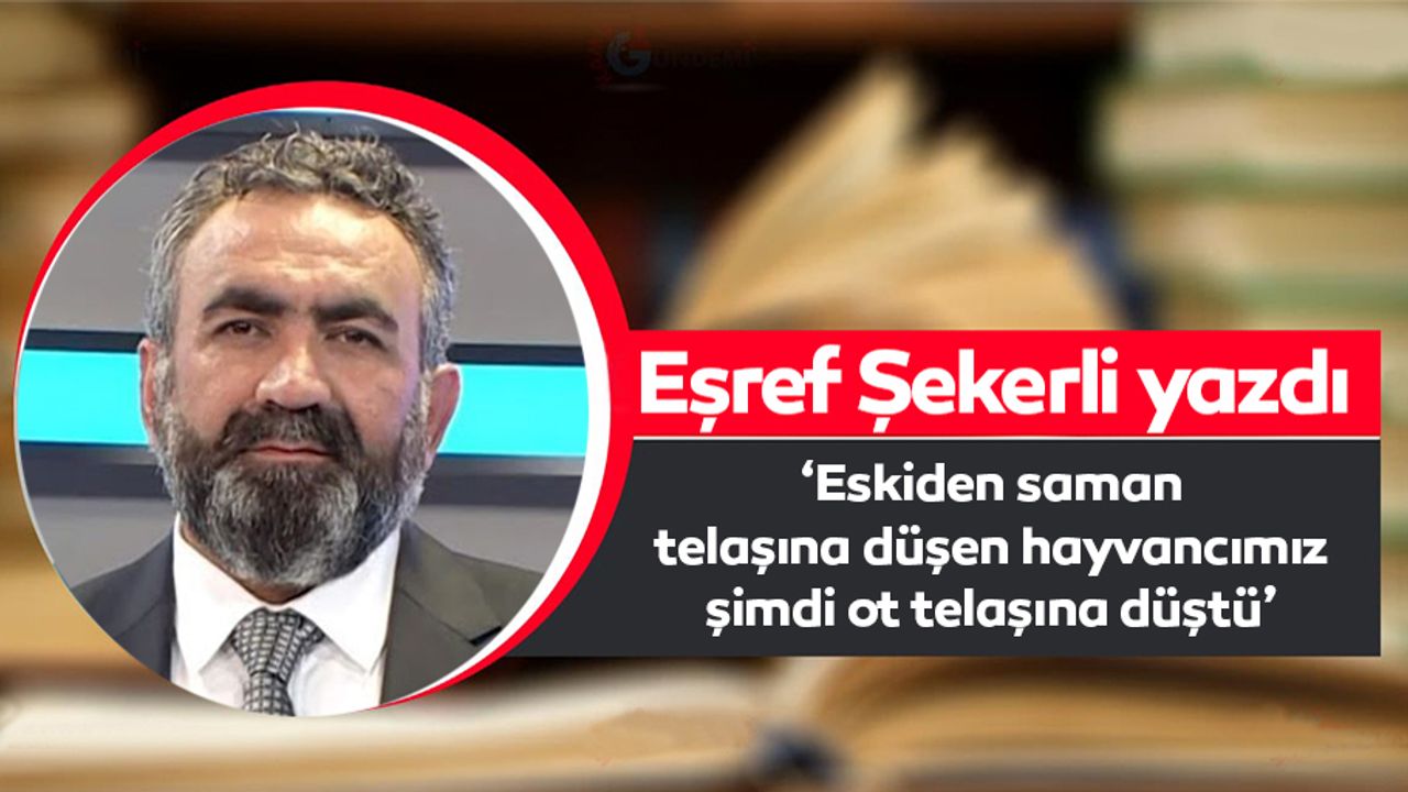 ‘Eskiden saman telaşına düşen hayvancımız şimdi ot telaşına düştü’