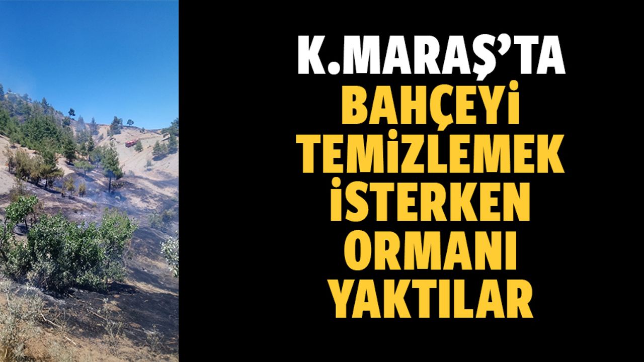 Bahçeyi Temizlemek İsterken Ormanı Yaktılar
