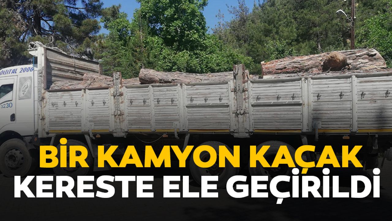 Bir Kamyon Kaçak Kereste Ele Geçirildi