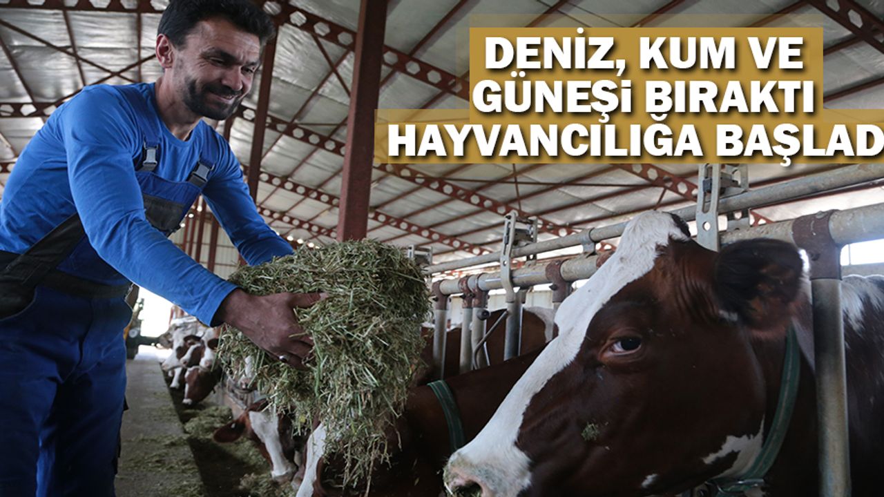 Deniz, Kum Ve Güneşi Bıraktı Hayvancılığa Başladı