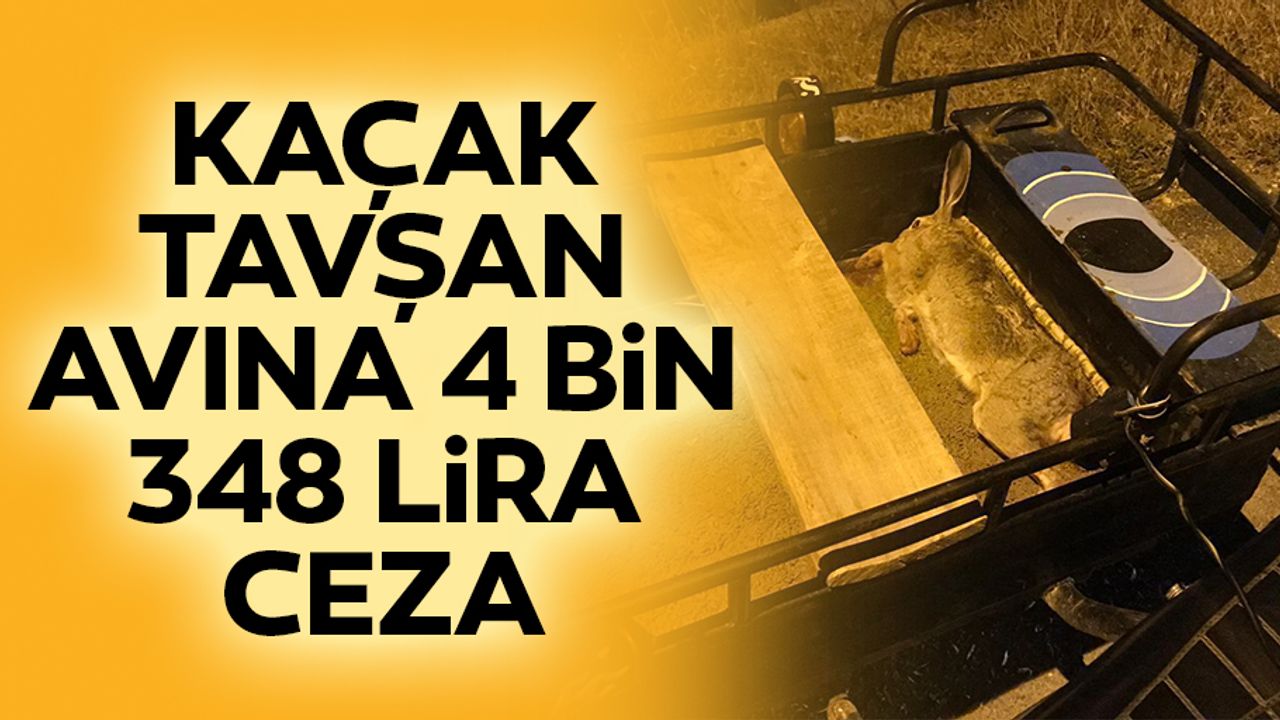 Kaçak Tavşan Avına 4 Bin 348 Lira Ceza