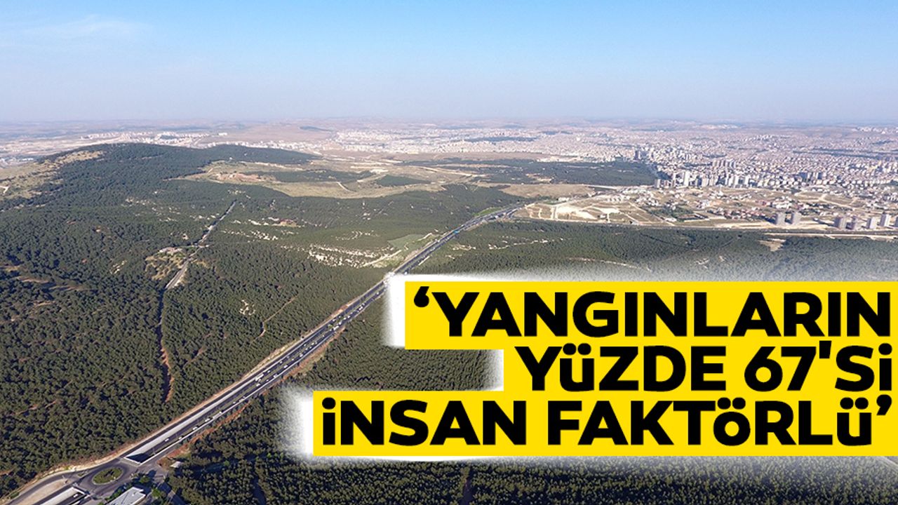 "Yangınların yüzde 67'si insan faktörlü"