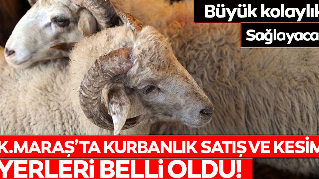 Kahramanmaraş’ta kurbanlık satış ve kesim yerleri belli oldu!