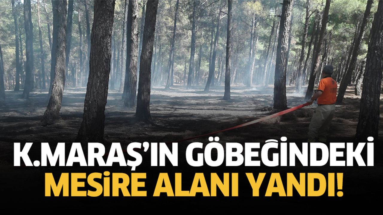 Kahramanmaraş'ın göbeğindeki mesire alanı yandı!