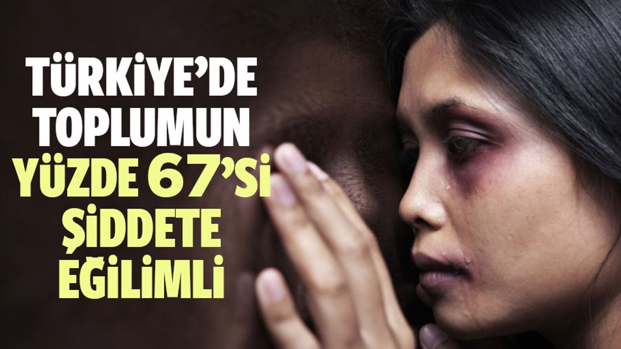 Türkiye’de Toplumun Yüzde 67’si Şiddete Eğilimli