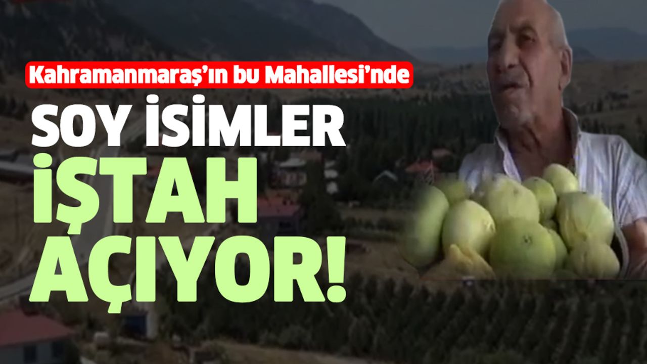 Kahramanmaraş’ın bu Mahallesi’nde soy isimler iştah açıyor!