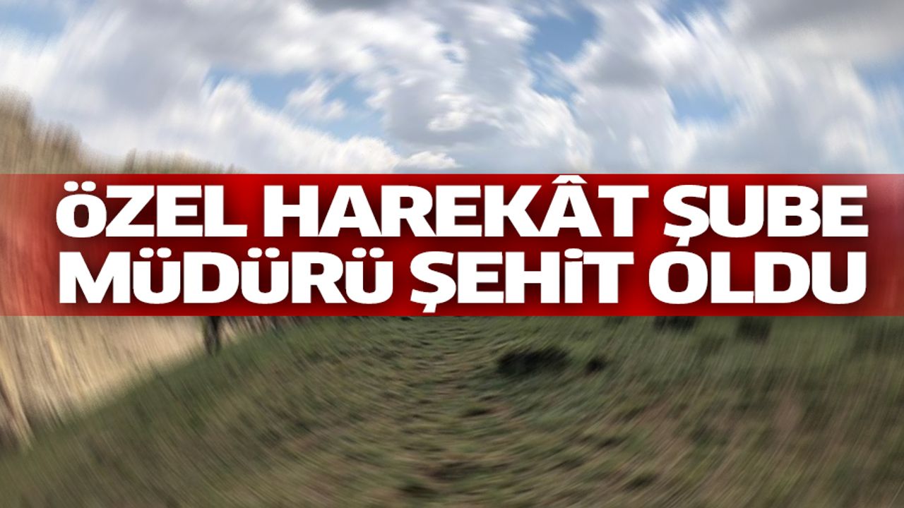 Özel Harekât Şube Müdürü Şehit Oldu
