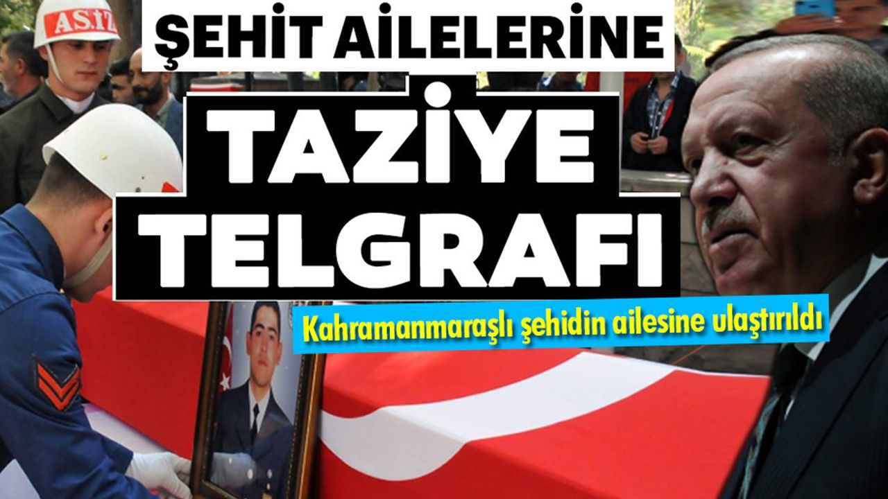 Başkan Erdoğan'dan şehit ailelerine başsağlığı telgrafı