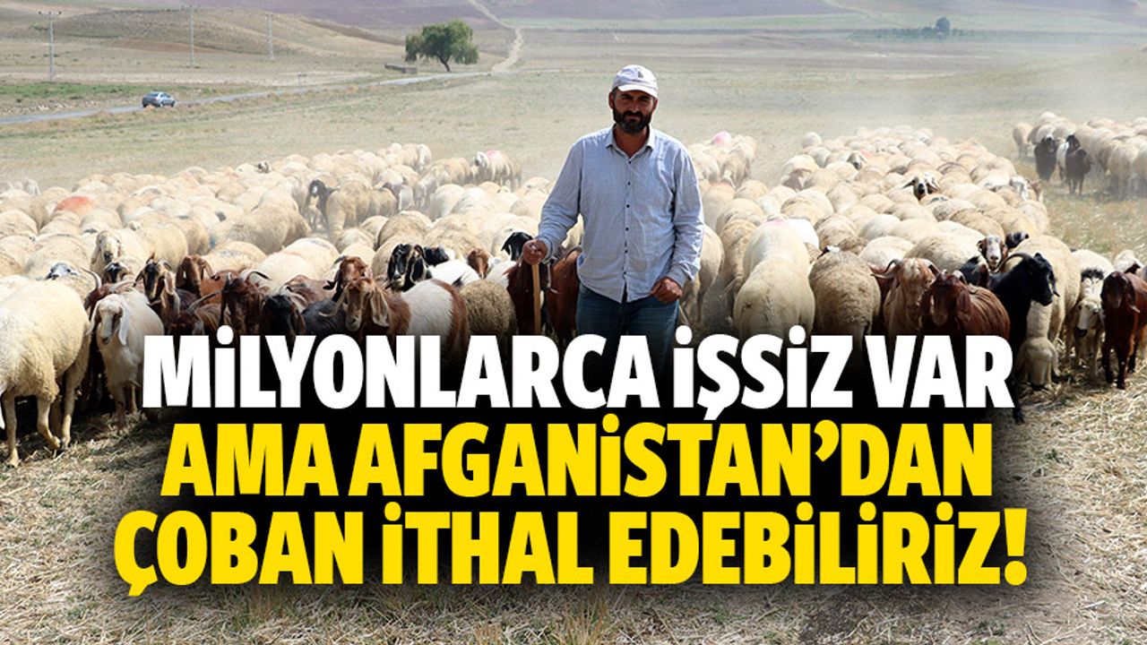 Milyonlarca işsiz var ama Afganistan’dan çoban ithal edebiliriz!