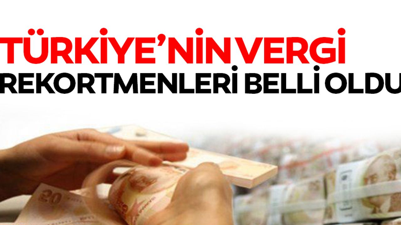 Türkiye'nin vergi rekortmenleri belli oldu