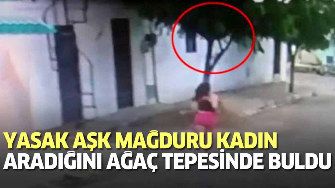 Yarı çıplak adam aldattığı karısına ağaç tepesinde yakalandı