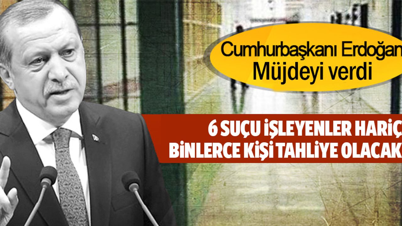 Erdoğan müjdeyi verdi! Bu 6 suçu işleyenler hariç, binlerce kişi tahliye olacak