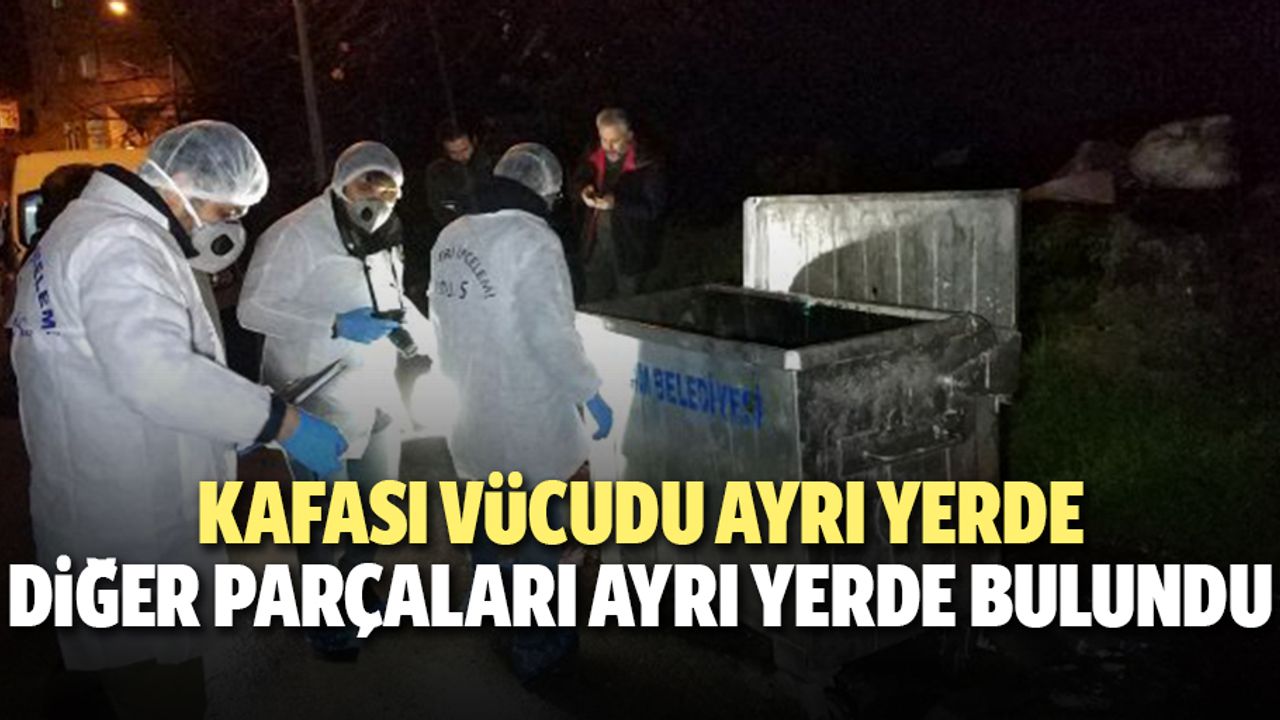 Kafası Vücudu Ayrı Yerde, Diğer Parçaları Ayrı Yerde Bulundu