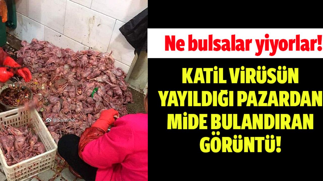Koala, yılan, kedi ne bulsalar yiyorlar! İşte katil hastalık koronavirüsün yayıldığı pazardan kareler