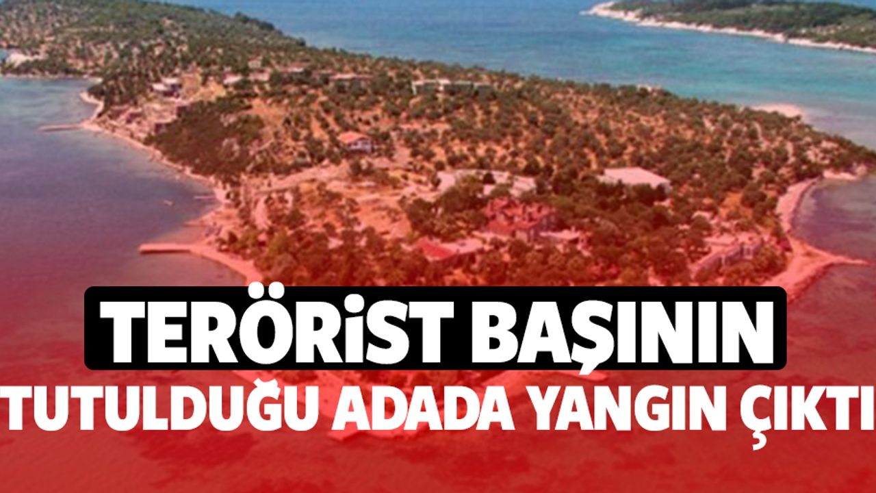 Terörist başının tutulduğu adada yangın çıktı
