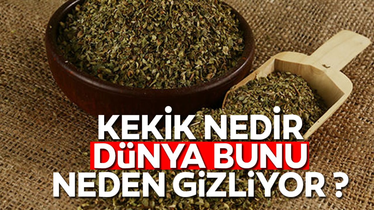 Kekik nedir? Dünya bunu neden gizliyor ?