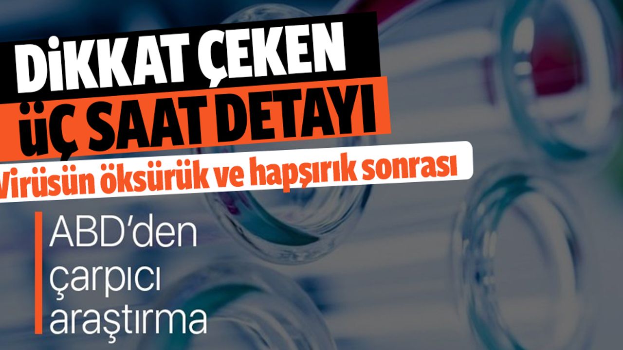 Koronavirüs araştırmasında dikkat çeken 3 saat detayı!