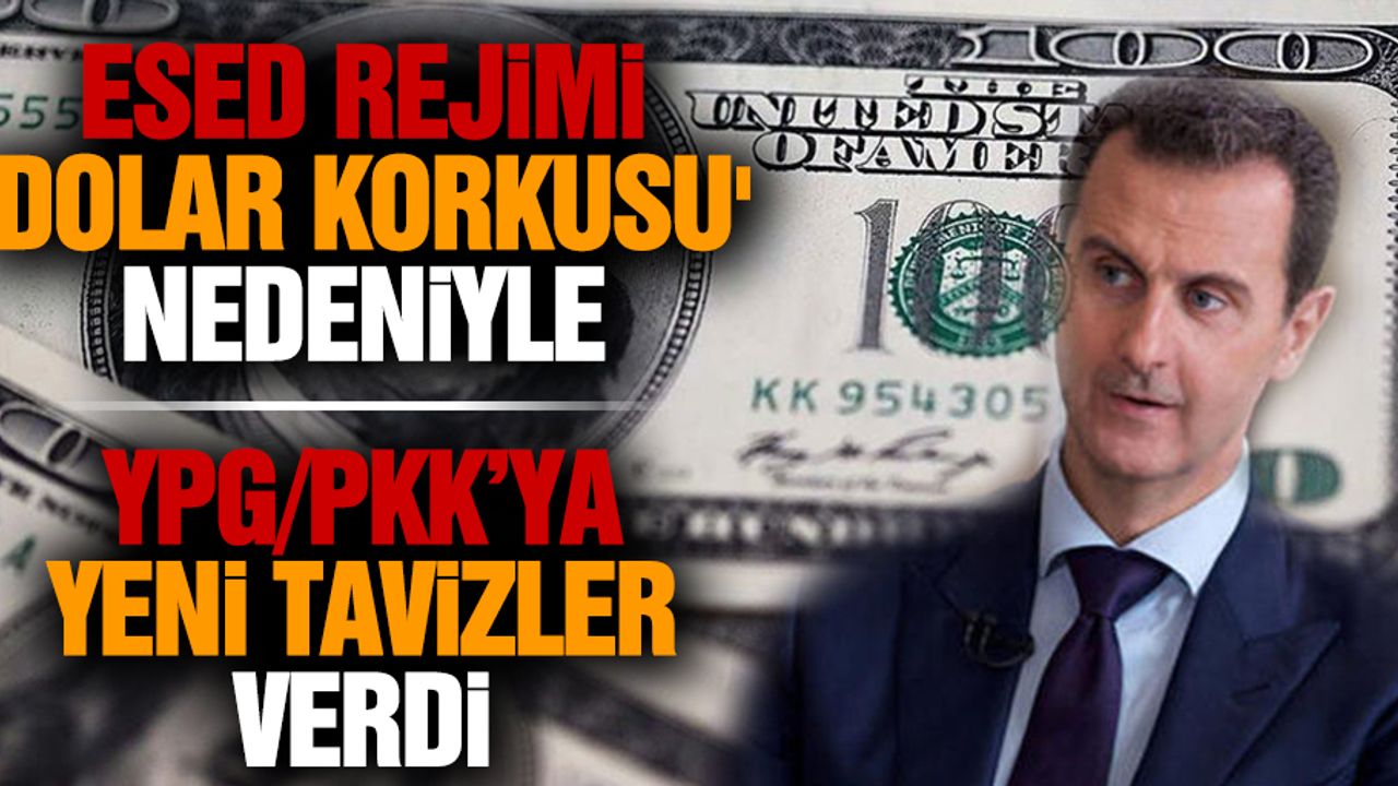 Esed rejimi 'dolar korkusu' nedeniyle YPG/PKK’ya yeni tavizler verdi