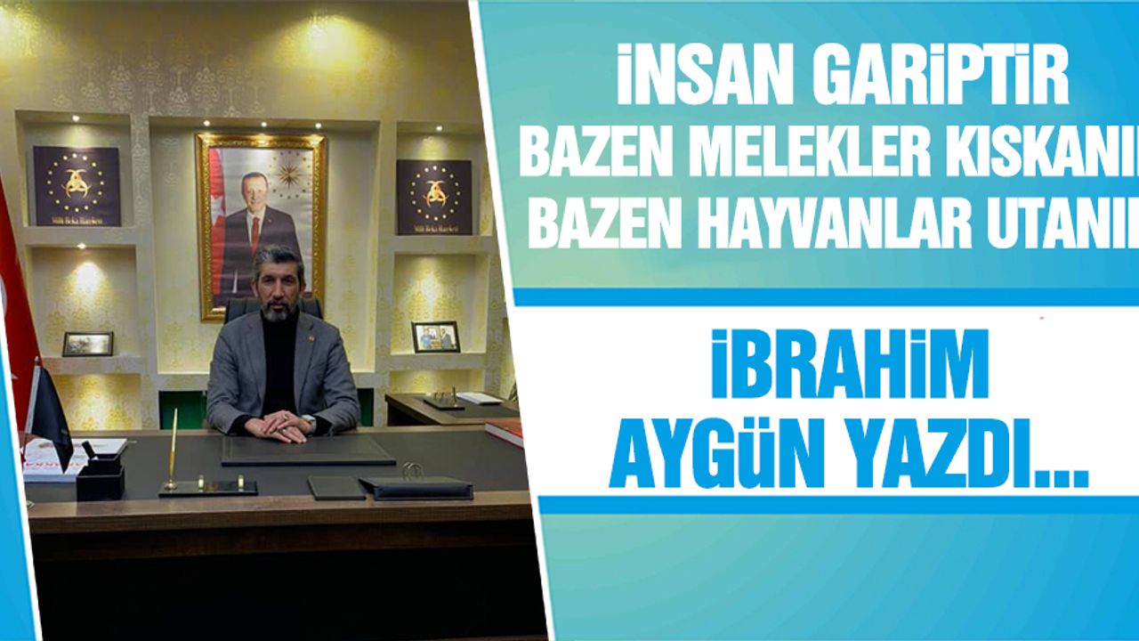 İnsan Gariptir, Bazen Melekler Kıskanır, Bazen Hayvanlar Utanır