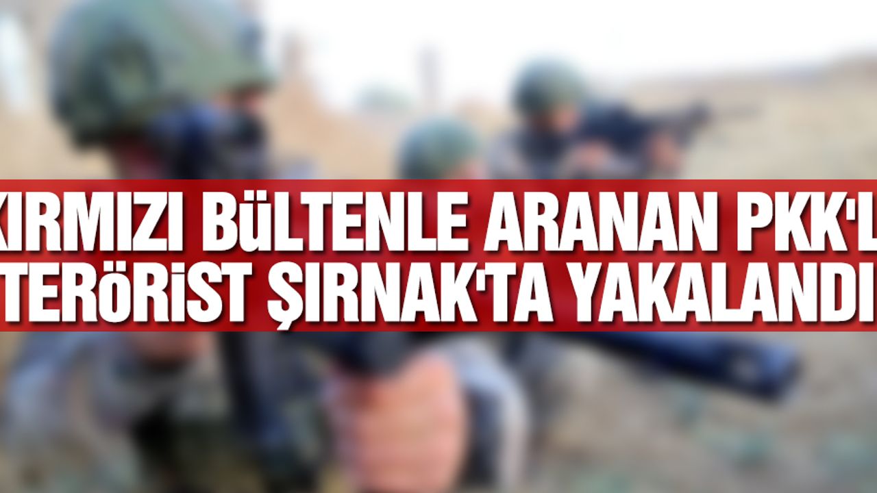 Kırmızı bültenle aranan PKK'lı terörist Şırnak'ta yakalandı