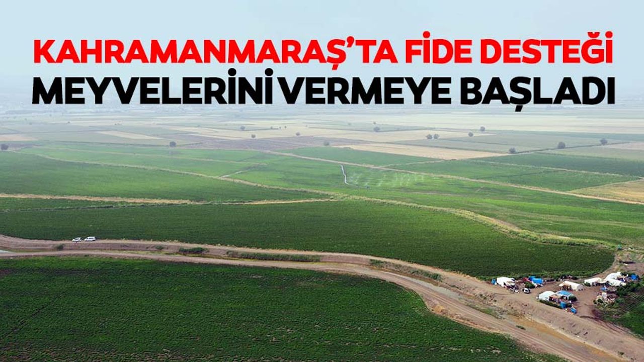Kahramanmaraş’ta fide desteği meyvelerini vermeye başladı