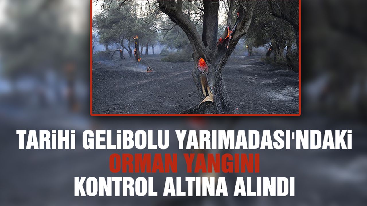 Tarihi Gelibolu Yarımadası'ndaki orman yangını kontrol altına alındı