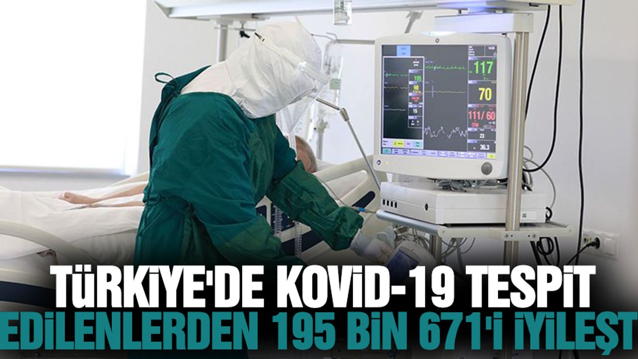 Türkiye'de Kovid-19 tespit edilenlerden 195 bin 671'i iyileşti