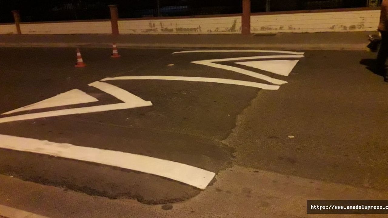 Yaya geçitleri ve kasisler boyanıyor