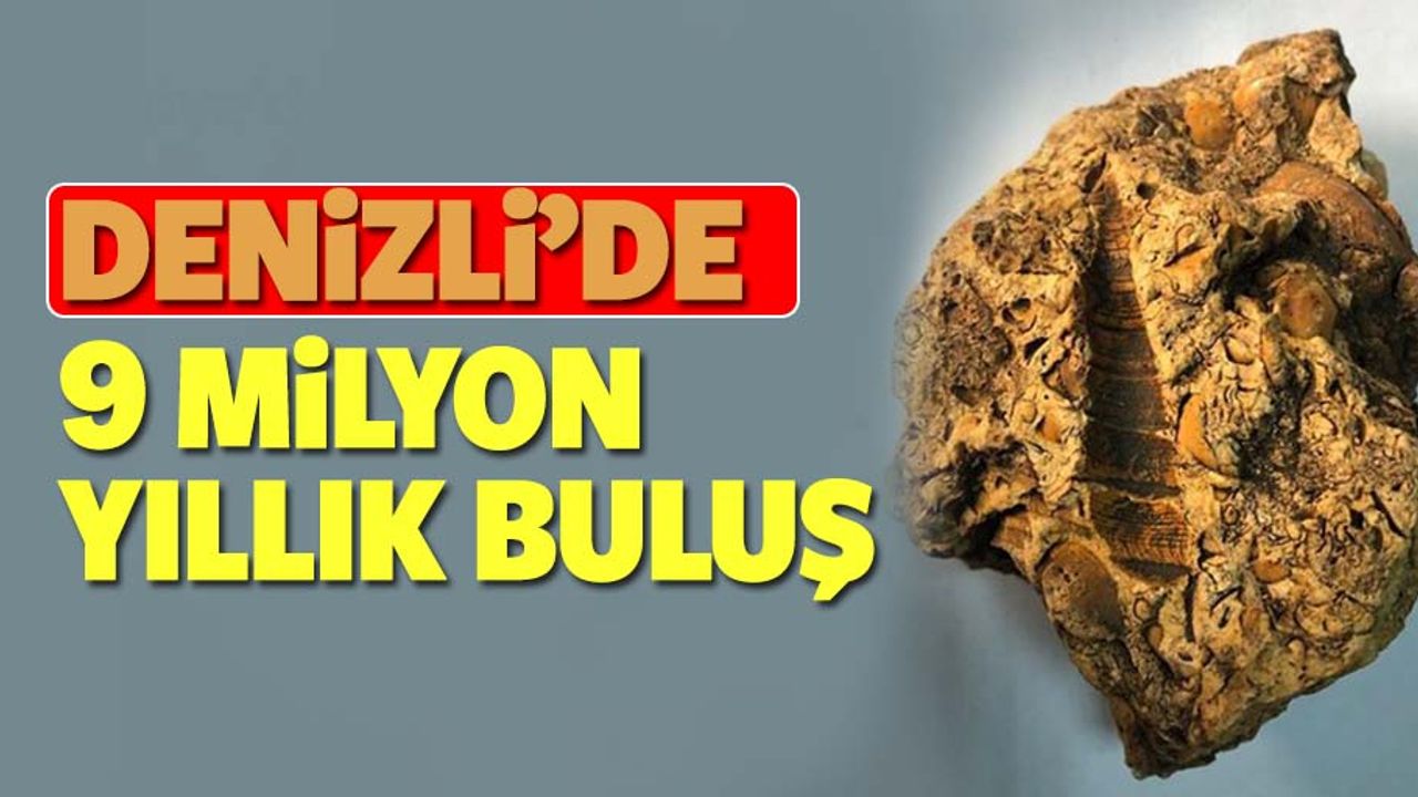 9 milyon yıl öncesine tarihlenen fosilleri bulundu