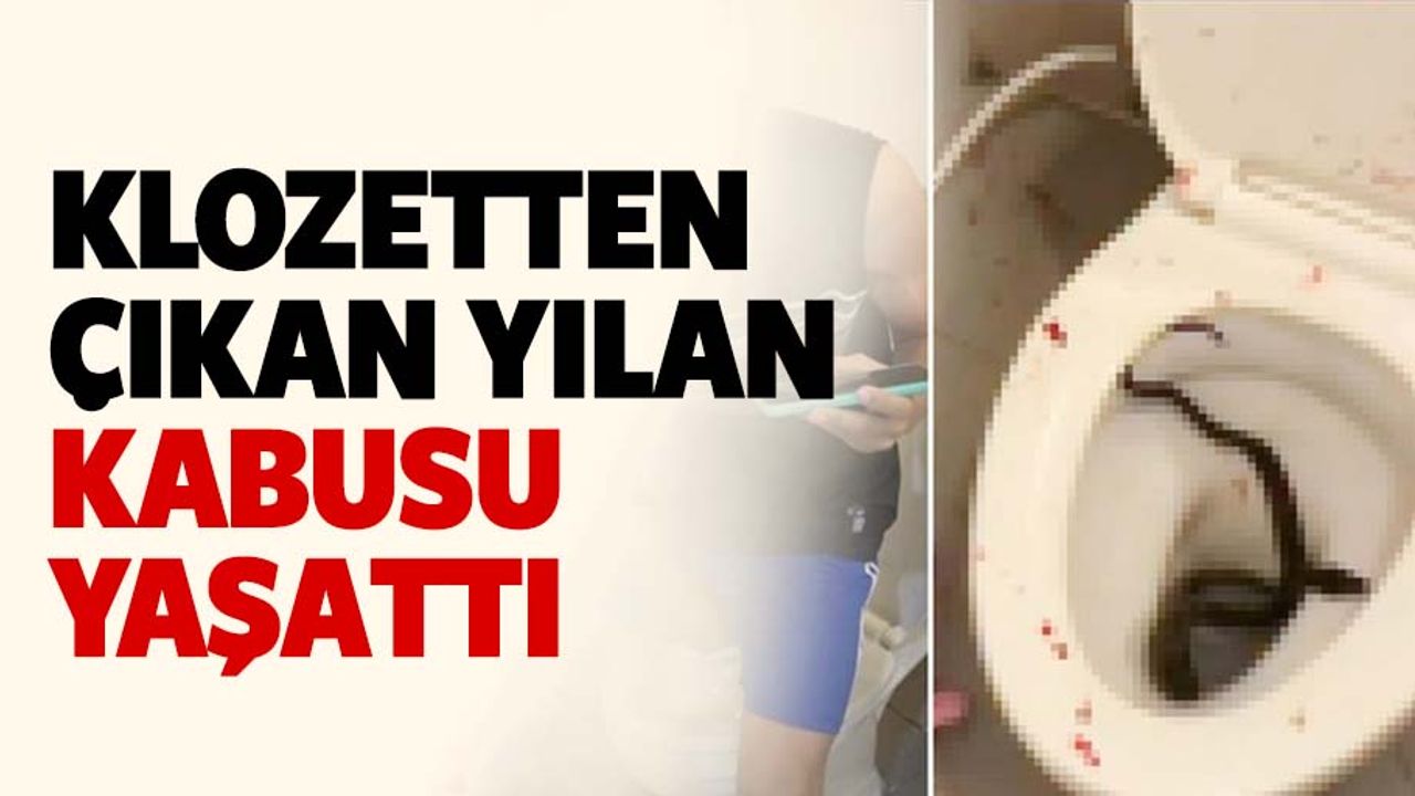 Klozetin deliğinden çıkan yılan dehşeti yaşattı!