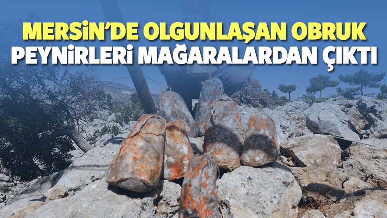 Mersin'de olgunlaşan obruk peynirleri mağaralardan çıktı