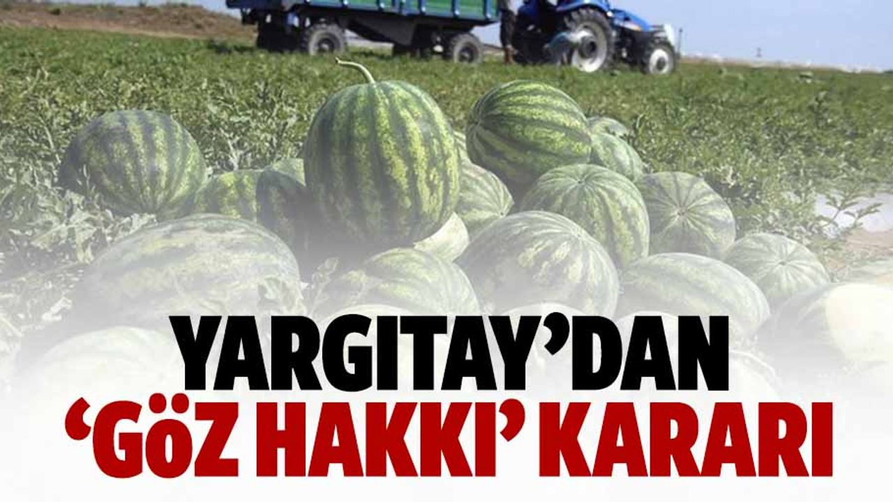 Canı karpuz çekince tarlaya girdi… Yargıtay’dan karpuzla ilgili göz hakkı kararı!