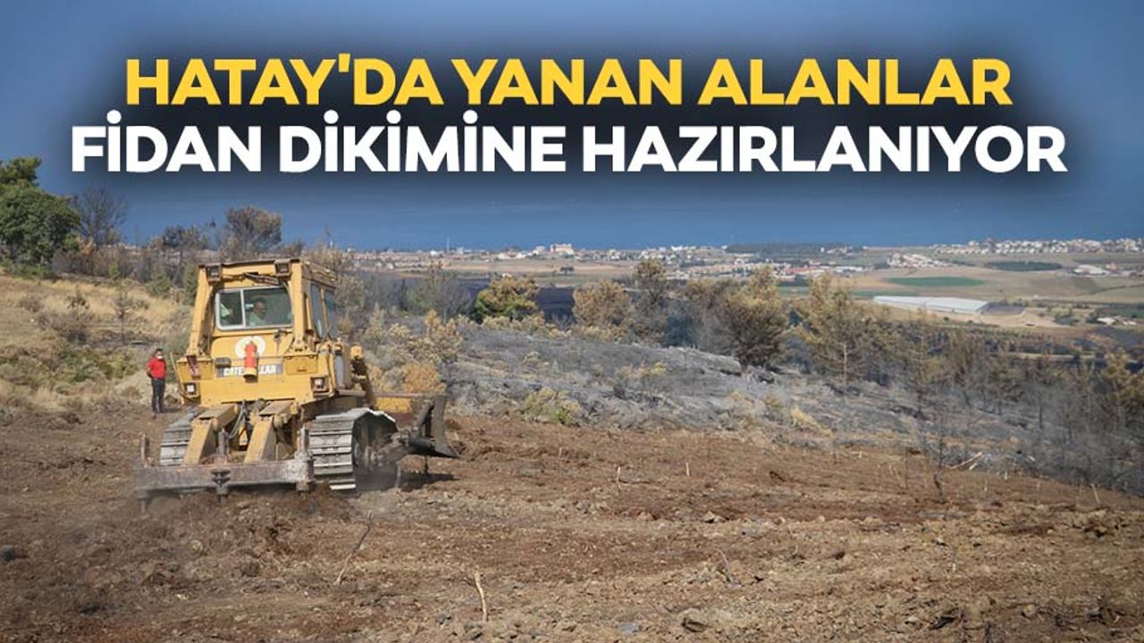 Hatay'da yanan alanlar fidan dikimine hazırlanıyor