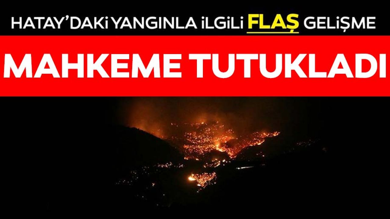 Hatay'daki yangınla ilgili 2 tutuklama