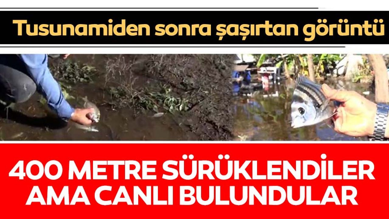 İzmir'de tsunami sonrası şaşırtan görüntü!