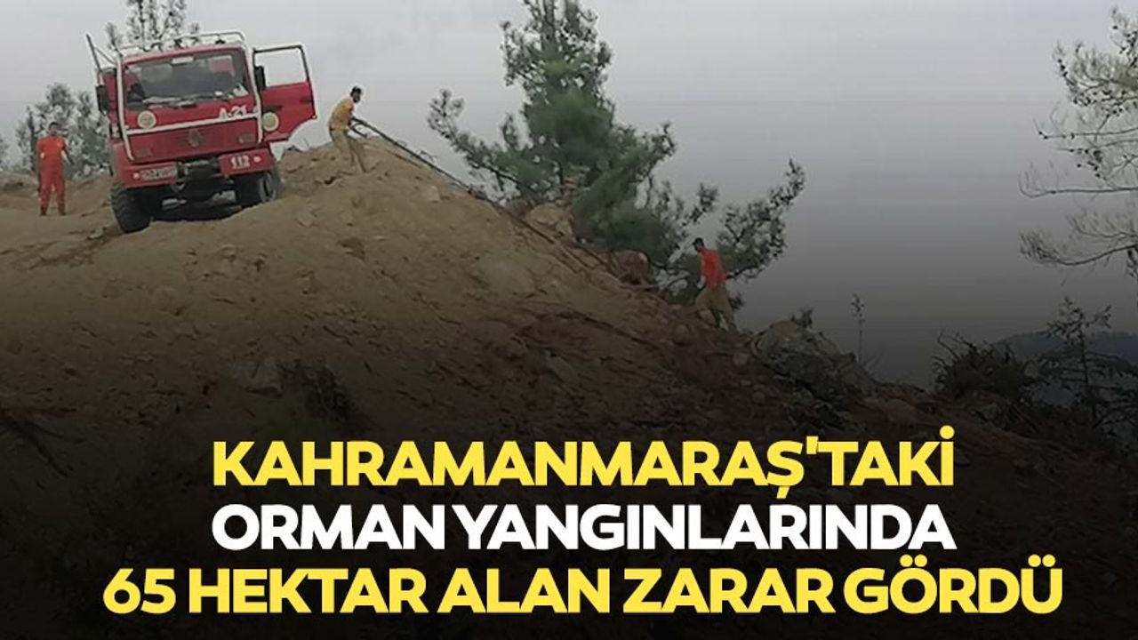 Kahramanmaraş'taki orman yangınlarında 65 hektar alan zarar gördü