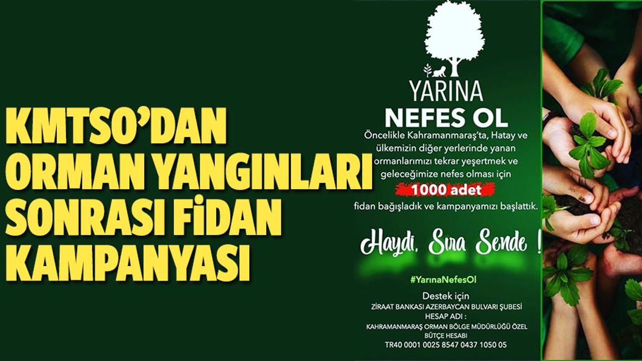 KMTSO’dan orman yangınları sonrası fidan kampanyası