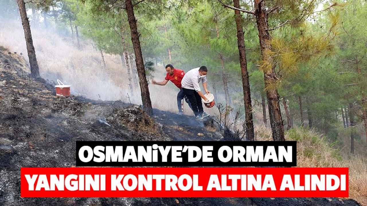 Osmaniye'de orman yangını kontrol altına alındı