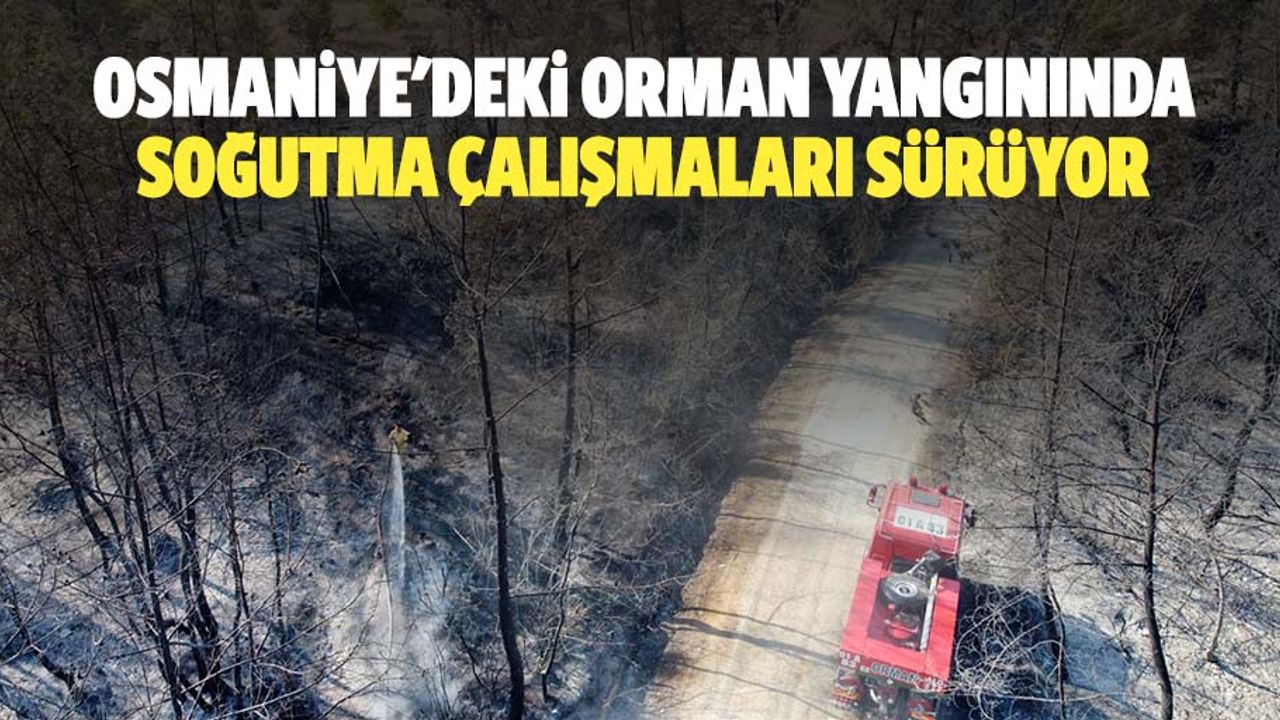 Osmaniye'deki orman yangınında soğutma çalışmaları sürüyor