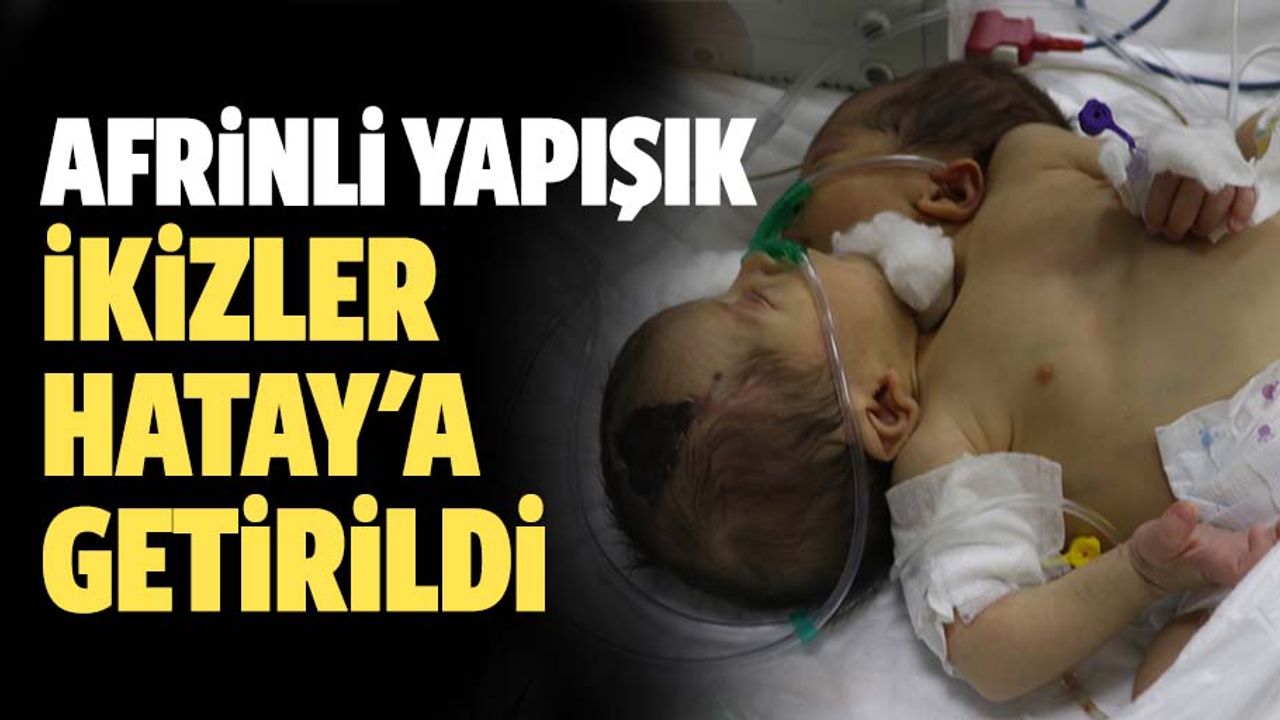 Afrinli yapışık ikizler, Hatay'a getirildi