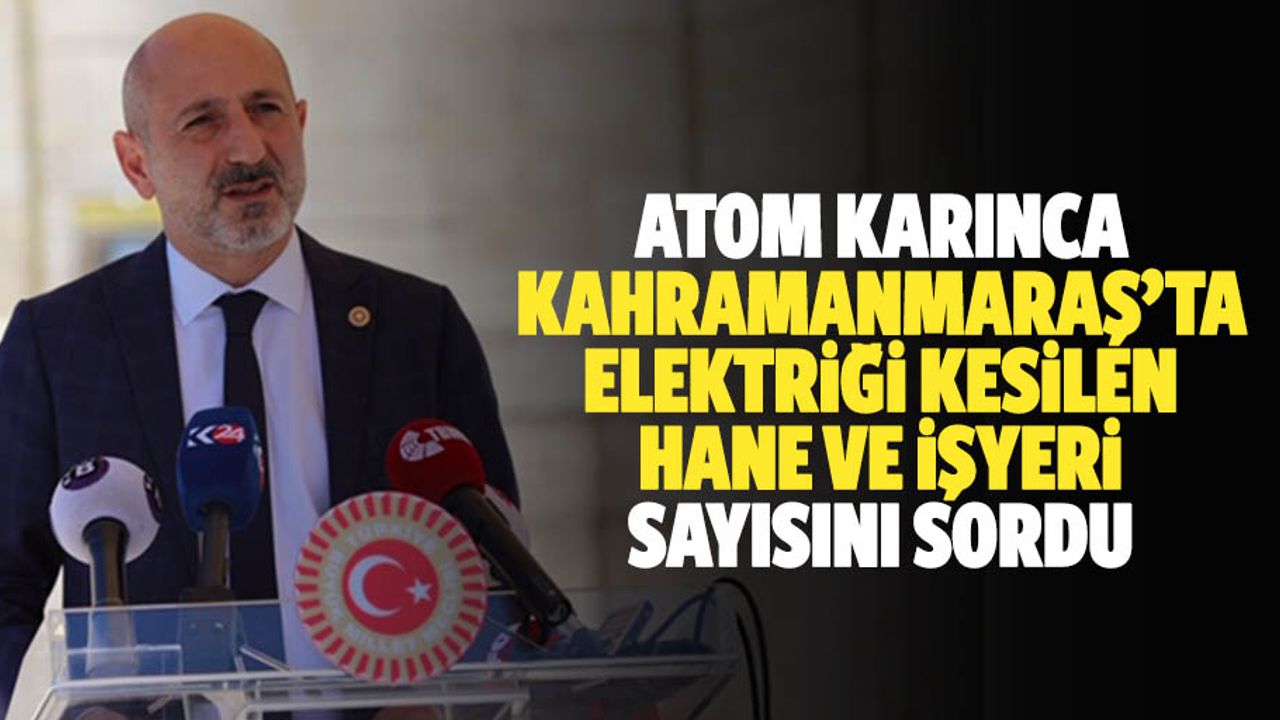 Atom karınca, Kahramanmaraş’ta elektriği kesilen hane ve işyeri sayısını sordu