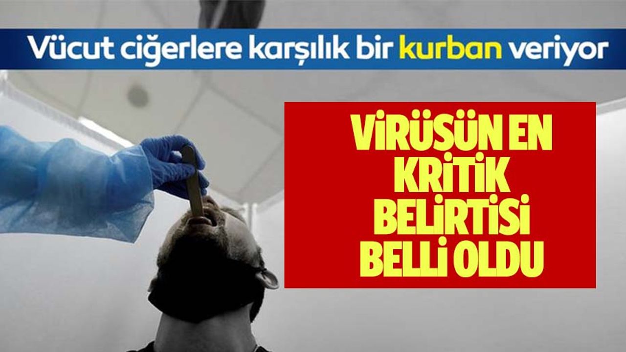 Bakan Koca'nın uyardığı gerçek bilimsel olarak açıklandı: Vücut kurban veriyor