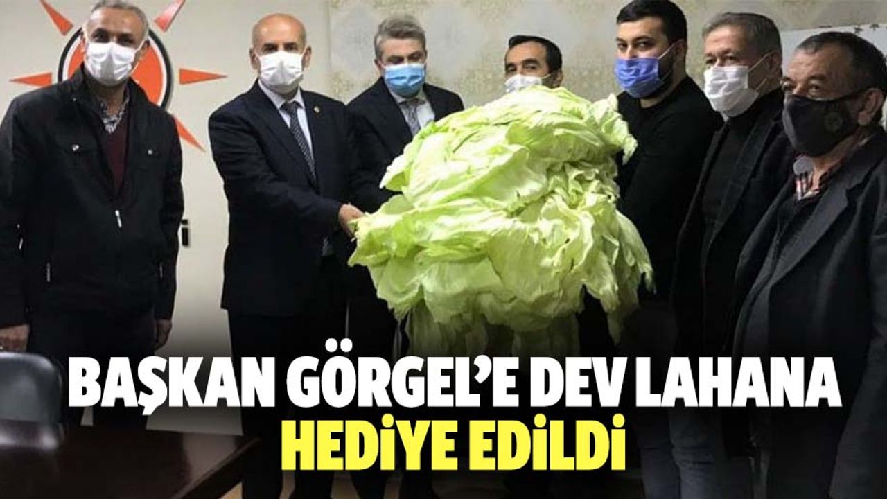 Başkan Görgel’e dev lahana hediye edildi