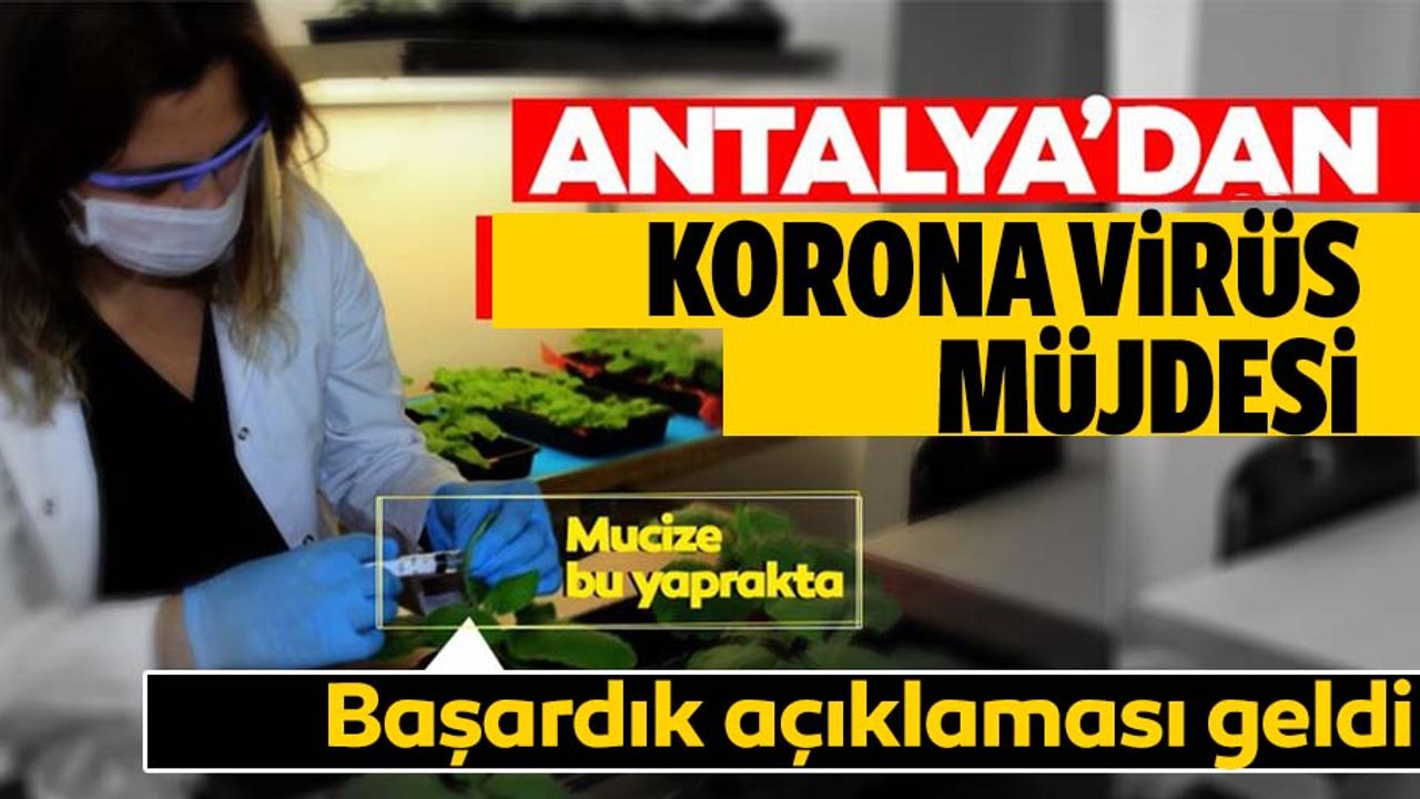 Koronavirüste müjde Antalya'dan geldi!