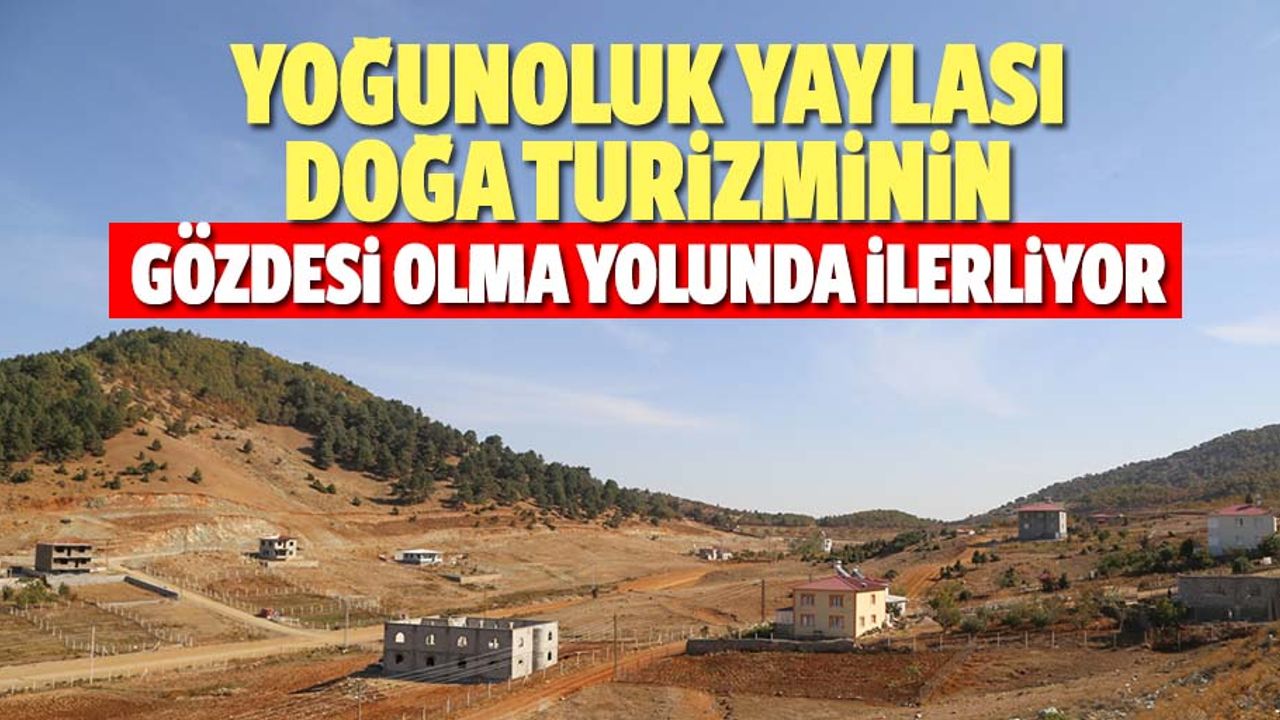 Yoğunoluk yaylası, doğa turizminin gözdesi olma yolunda ilerliyor