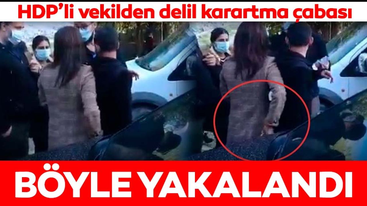 HDP’li vekil örgüt üyesinin telefonunu aldı