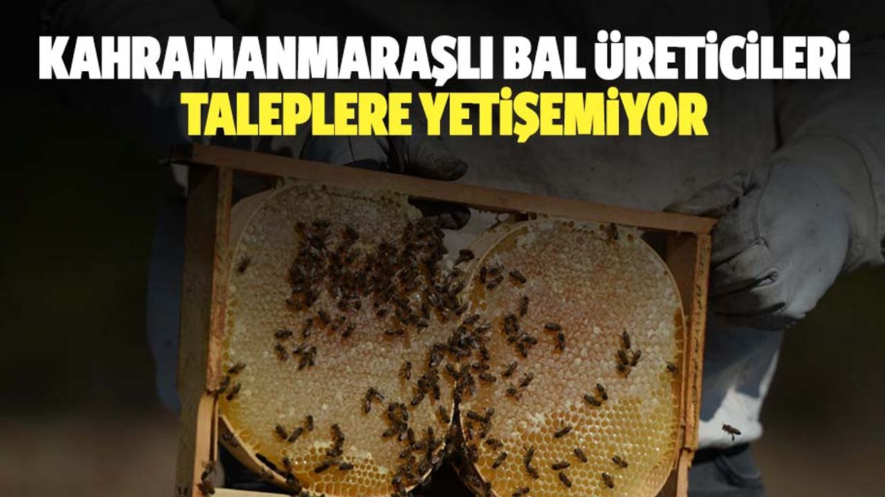 Kahramanmaraşlı bal üreticileri taleplere yetişemiyor