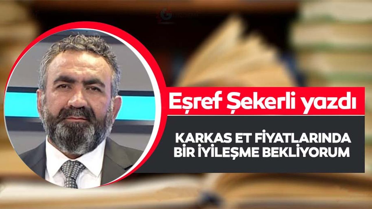 Karkas et fiyatlarında bir iyileşme bekliyorum