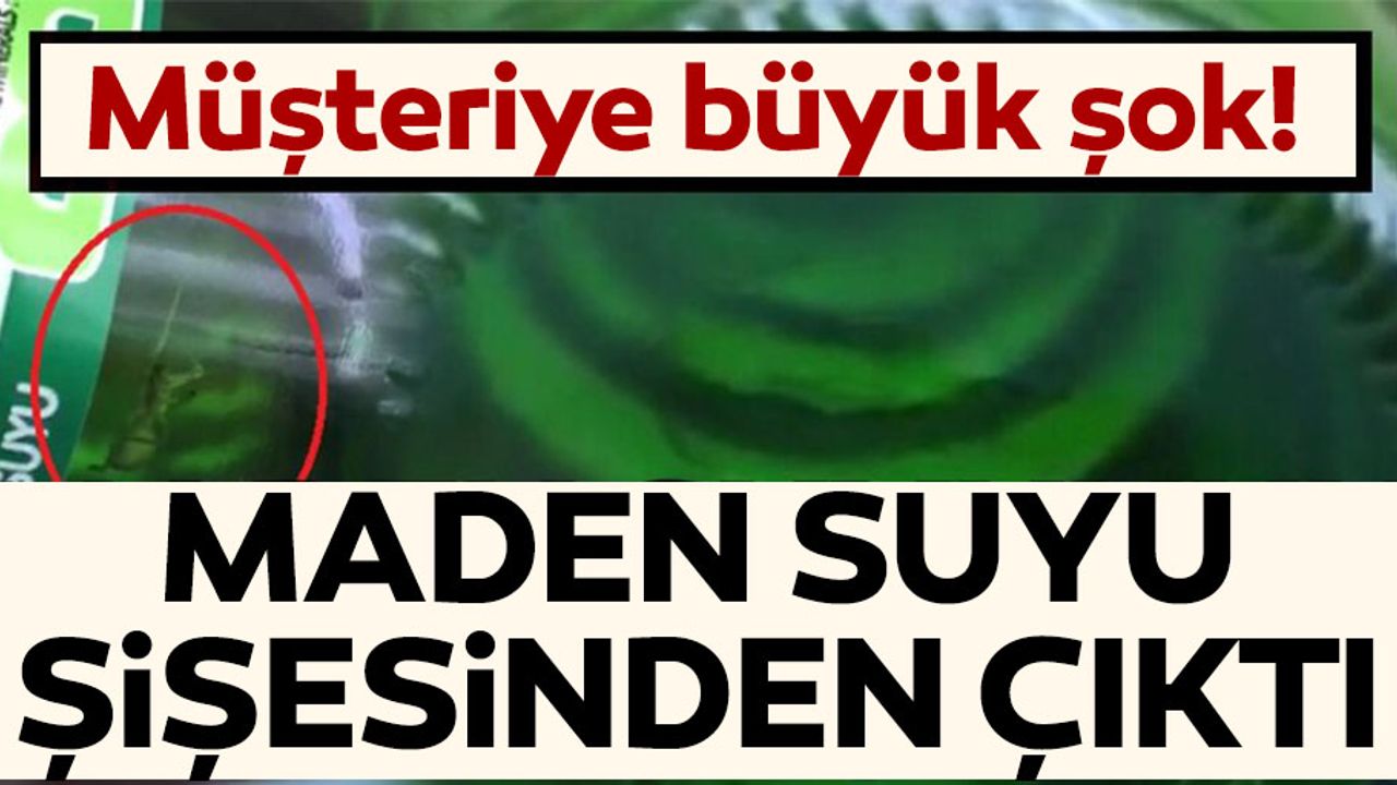 Müşteriye büyük şok! Maden suyu şişesinden çıktı